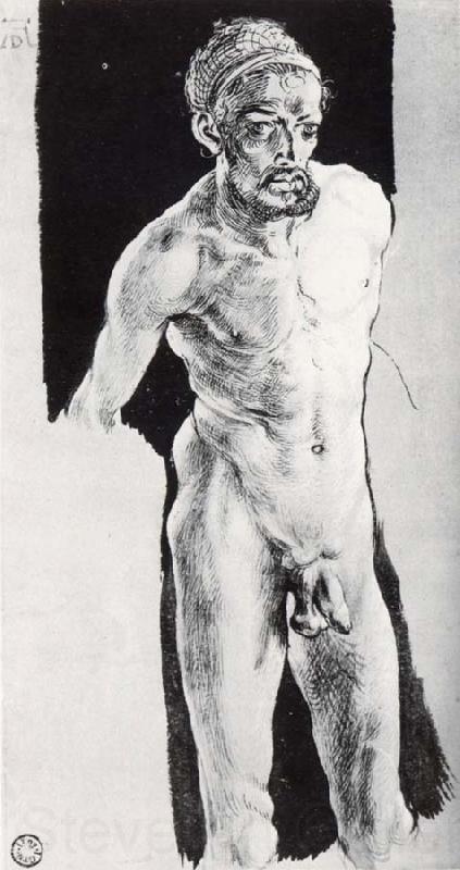 Albrecht Durer Self-portrait in the nude Norge oil painting art